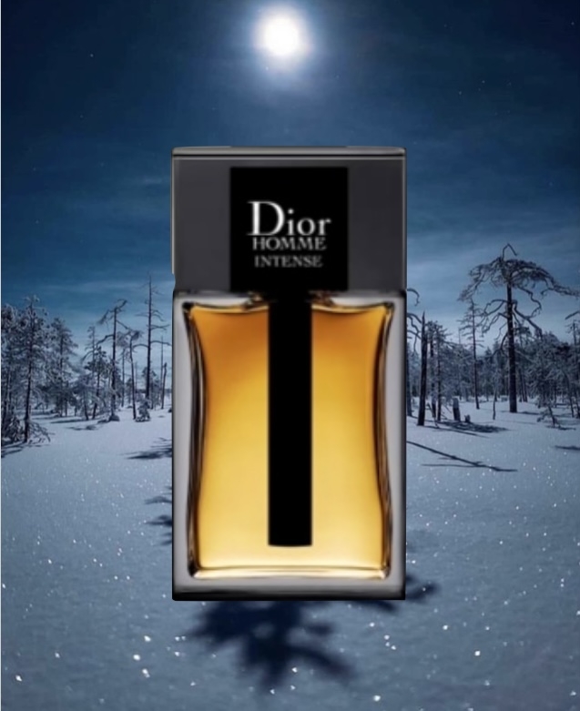 Dior Homme Intense edp 100ml | Naturlig hud- og hårpleie, badeprodukt ...