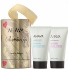AHAVA Gift Two to Tango  thumbnail