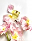 Versace Bright Crystal edt 90ml thumbnail
