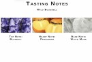 Jo Malone Wild Bluebell 100ml cologne thumbnail