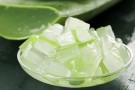 Nærende Aloe Vera thumbnail