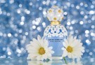 Marc Jacobs Daisy Dream edt 100ml thumbnail