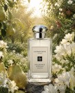 Jo Malone English Pear & Freesia 100ml cologne thumbnail