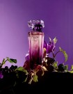 Lancôme Trésor Midnight Rose edp 50ml thumbnail