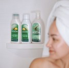 Jason Aloe Vera Shampoo thumbnail