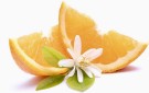 Italiensk appelsinblomst thumbnail