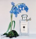Jo Malone Wild Bluebell 100ml cologne thumbnail