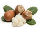 Jason Coconut Body Wash thumbnail