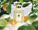 Jo Malone Lime Basil & Mandarin 100ml cologne thumbnail