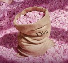 Miss Dior Rose N´Roses edt 100ml thumbnail