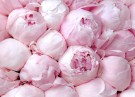 Nesti Dante Rose Peony Bath and Shower thumbnail