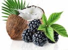 Omegarik kokosolje og vitaminrike bjørnebær thumbnail