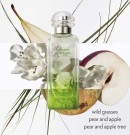 Hermés Un Jardin Sur Le Toit edt 100ml thumbnail