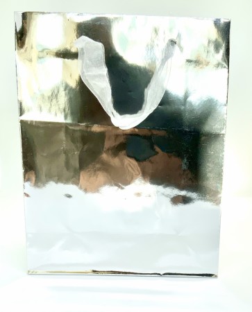 GAVEPOSE medium Silver